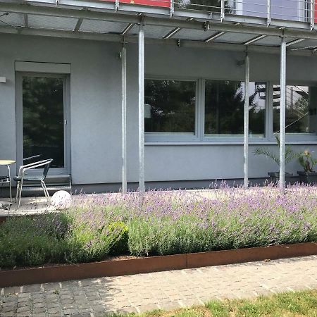 Wander- Und Aktivchalet Birkenfeld  Exteriér fotografie