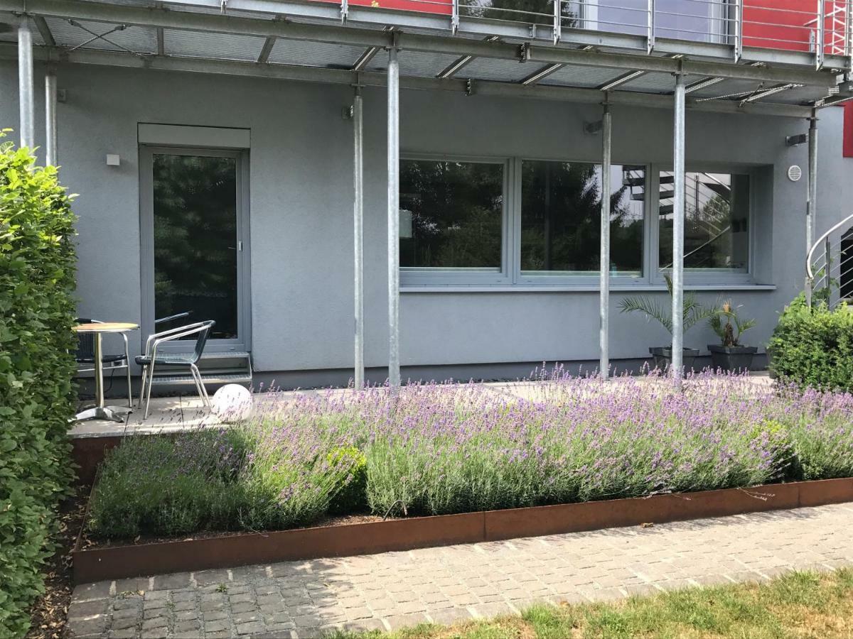 Wander- Und Aktivchalet Birkenfeld  Exteriér fotografie